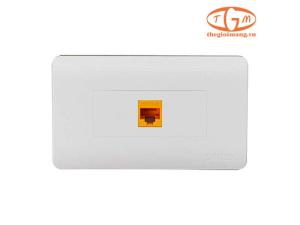 Mặt nạ mạng Dintek 1 Port Wallplate (1303-11030)