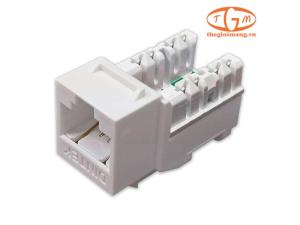 Ổ cắm mạng Dintek Cat.6 E-Type Horizontal ezi-JACK (1305-04017)