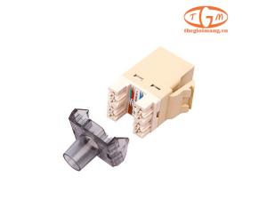 Nhân mạng Cat6 Commscope (1375055-1)