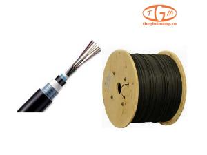 Cáp quang LS Multimode OM4 4-core Armor (LT-DJBGSEX/BRN M44XXX(06T2.00))