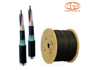 Cáp quang LS Singlemode 24-core Armor (LT-DJBGSEX/BRN SE24XX(06T2.00))