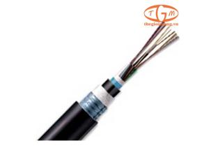Cáp quang LS Singlemode 4-core Armor (LT-DJBGSEX/BRN SE4XXX(06T2.00))