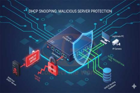 Hướng Dẫn Cấu Hình IP Source Guard trên Cisco Catalyst C1300