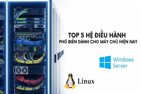 Top 5 hệ điều hành phổ biến dành cho máy chủ hiện nay